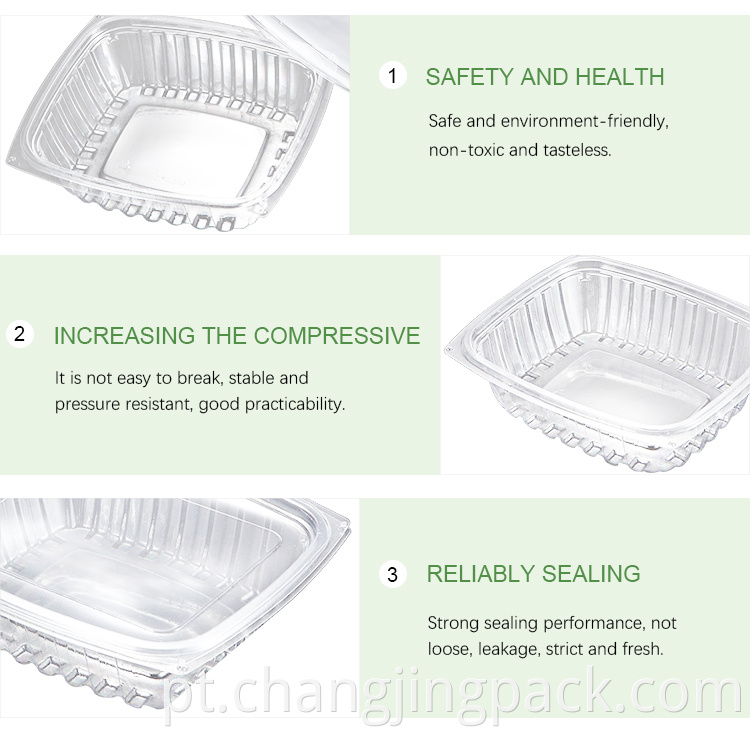 Takeaway bagasse